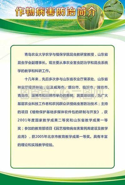 展板設計模板 昆蟲防圖片