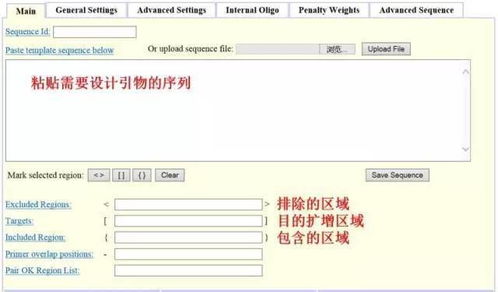 設計引物怕踩坑？這3款在線軟件輕松掃雷——淄博軟件設計指南